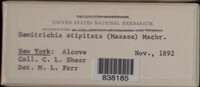 Image Associated With the Occurence